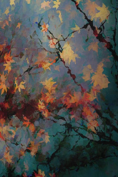 Angel Estevez: Autumnal Foliage II by Angel Estevez
