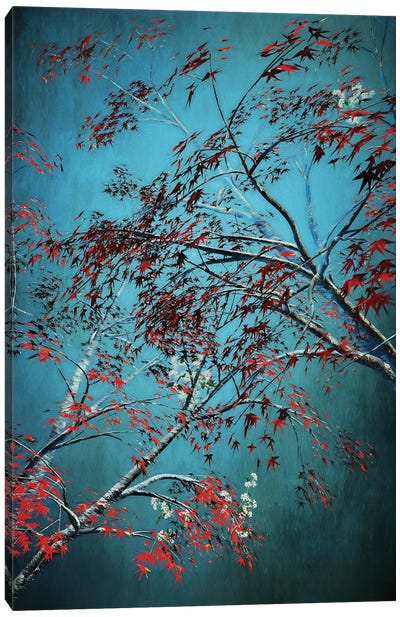 Red Trees Canvas Art Print - Angel Estevez