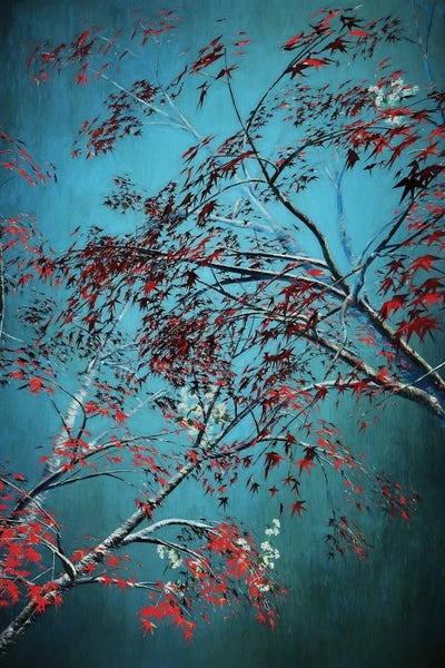 Angel Estevez: Red Trees by Angel Estevez
