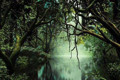 River In The Jungle by Angel Estevez canvas print