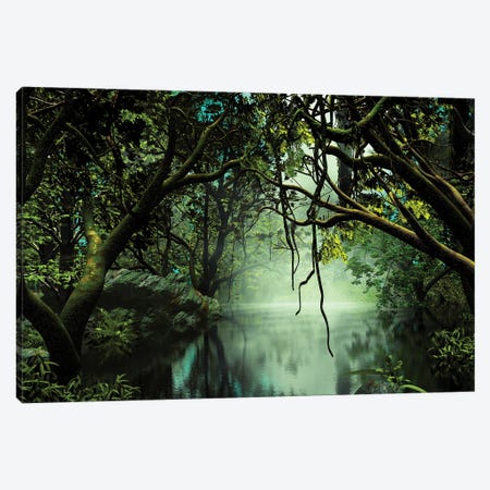 River In The Jungle Canvas Print #AEZ47} by Angel Estevez Canvas Wall Art