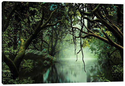 River In The Jungle Canvas Art Print - Jungles