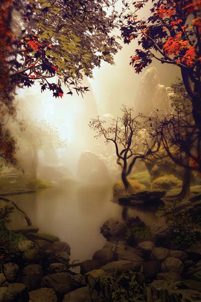 Mist & Fog: Rocks Around Pond by Angel Estevez