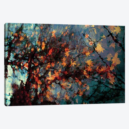 Autumn Colors I Canvas Print #AEZ4} by Angel Estevez Canvas Art Print
