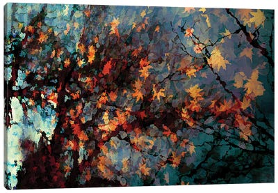 Autumn Colors I Canvas Art Print - Angel Estevez