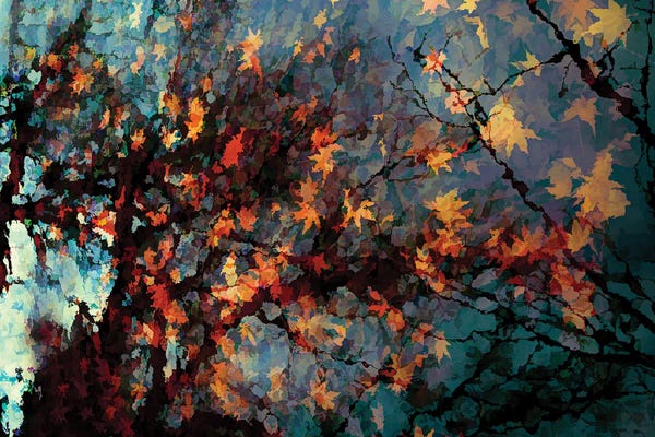 Leaves: Autumn Colors I by Angel Estevez