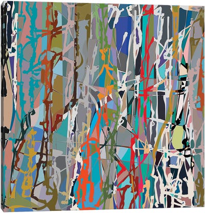 Pollock Wink VIII Canvas Art Print - Angel Estevez