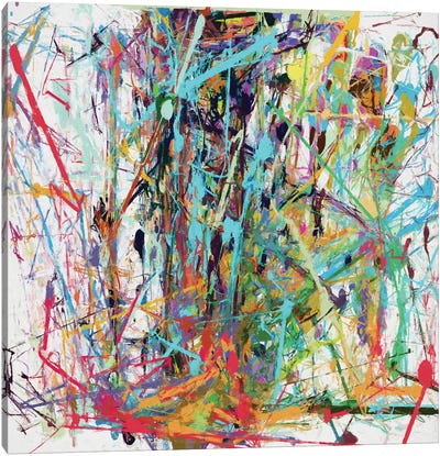 Pollock Wink IX Canvas Art Print - Angel Estevez
