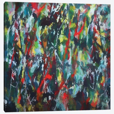 Pollock Wink X Canvas Print #AEZ504} by Angel Estevez Canvas Art Print