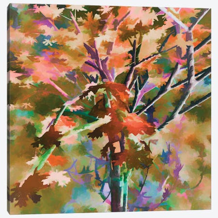Autumnal Tree III Canvas Print #AEZ516} by Angel Estevez Canvas Wall Art