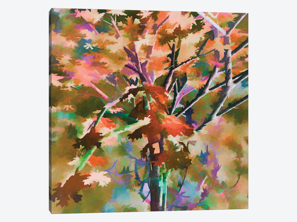 Autumnal Tree III by Angel Estevez 1-piece Canvas Artwork