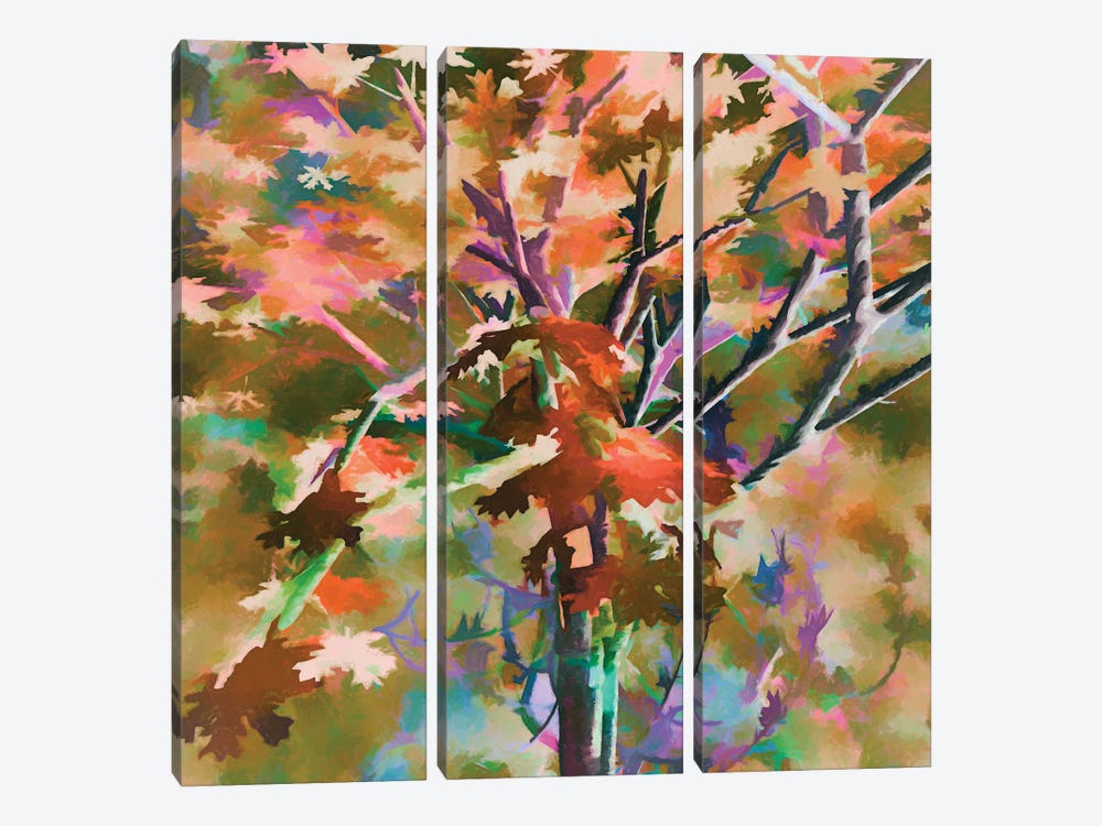 Autumnal Tree III by Angel Estevez 3-piece Canvas Art
