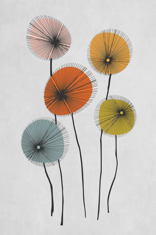 Colored Poppies by Angel Estevez wall art