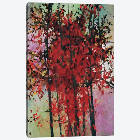 Red Trees II Canvas Print #AEZ593} by Angel Estevez Canvas Art Print