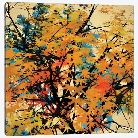 Autumn Colors II Canvas Print #AEZ5} by Angel Estevez Art Print