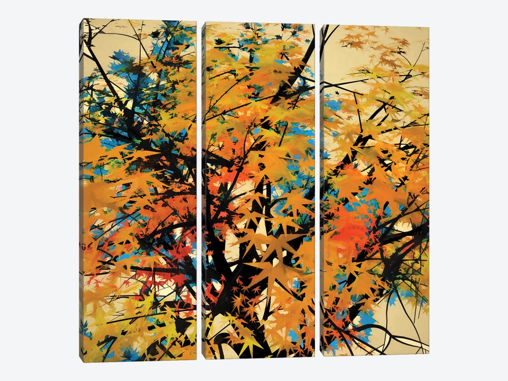 Autumn Colors II by Angel Estevez 3-piece Canvas Wall Art