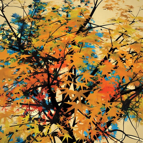 Angel Estevez: Autumn Colors II by Angel Estevez