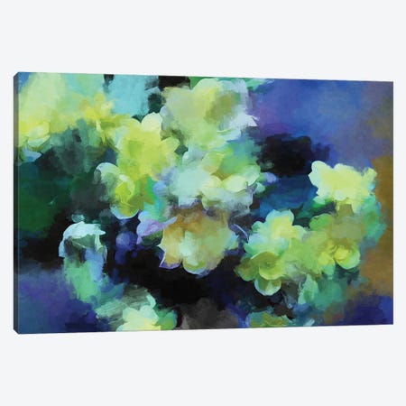 Yellow Flowers Canvas Print #AEZ663} by Angel Estevez Canvas Art Print