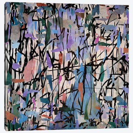 Pollock Wink XIV Canvas Print #AEZ689} by Angel Estevez Canvas Art Print