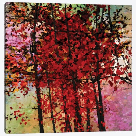 Autumn Colors III Canvas Print #AEZ6} by Angel Estevez Art Print