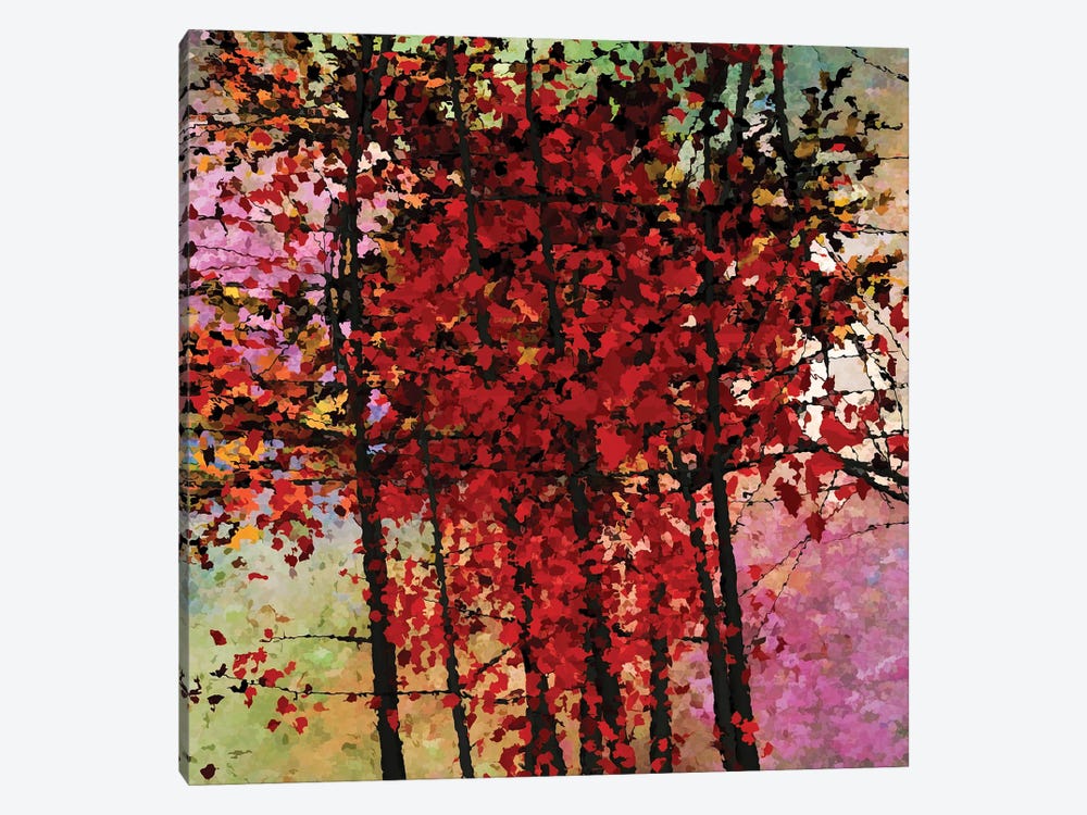 Autumn Colors III by Angel Estevez 1-piece Canvas Art Print