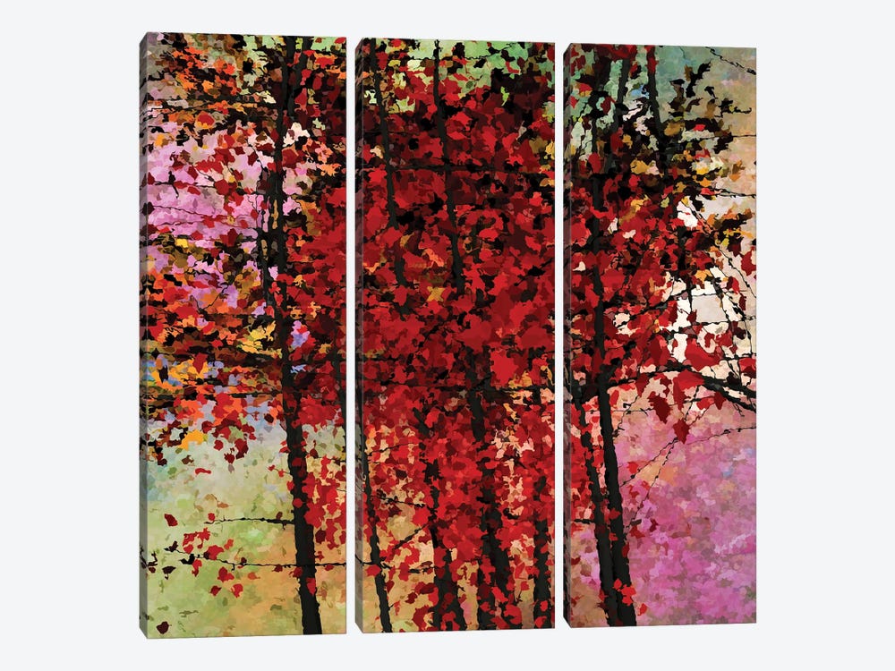 Autumn Colors III by Angel Estevez 3-piece Canvas Art Print