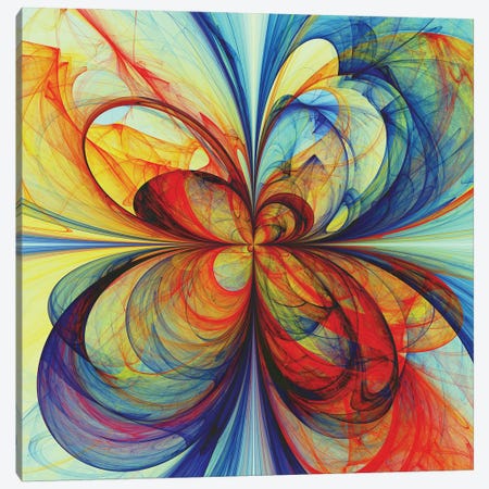 Multicolored Butterfly Canvas Print #AEZ79} by Angel Estevez Canvas Art