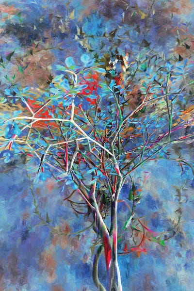 Similar To Jackson Pollock: Autumnal Tree by Angel Estevez