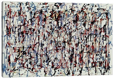 Pollock Wink XIX Canvas Art Print - Angel Estevez