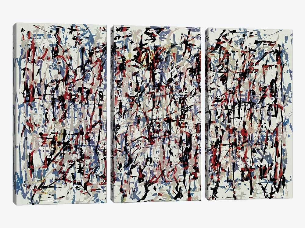 Pollock Wink XIX by Angel Estevez 3-piece Art Print