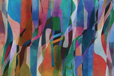 Winding Shapes by Angel Estevez canvas print