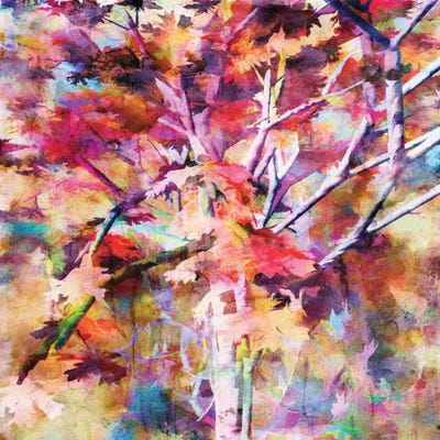 Autumn Colors IV by Angel Estevez canvas print