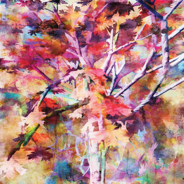 Autumn Colors IV by Angel Estevez wall art