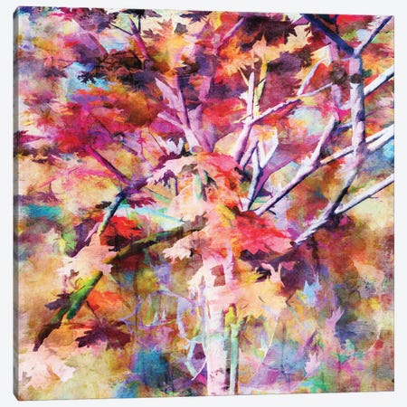 Autumn Colors IV Canvas Print #AEZ998} by Angel Estevez Canvas Print