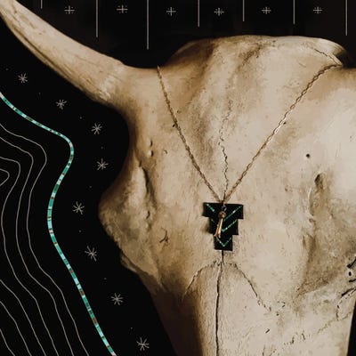 Buffalo Skull & Turquoise by Allie Falcon framed canvas print