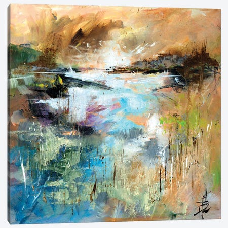 Nevern Lights V Canvas Print #AFD18} by Anne Farrall Doyle Canvas Artwork