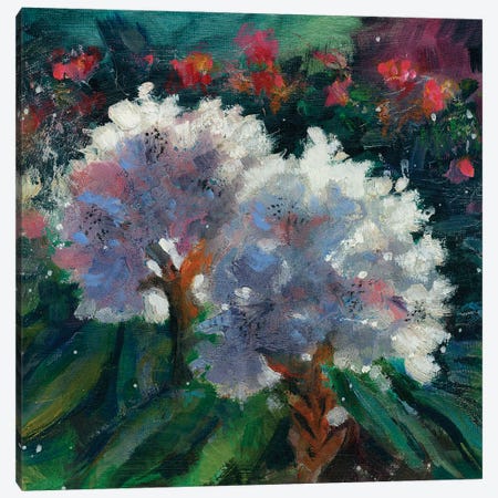 Rhododendron Portrait I Canvas Print #AFD19} by Anne Farrall Doyle Canvas Artwork