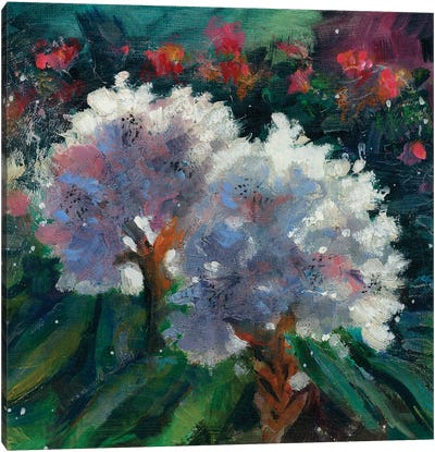 Rhododendron Portrait I Canvas Art Print