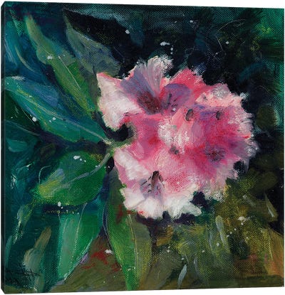 Rhododendron Portrait II Canvas Art Print