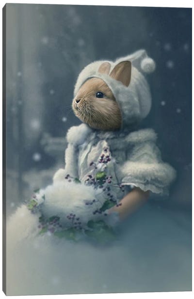 Bonnie The Snow Bunny Canvas Art Print - Animal Fancy