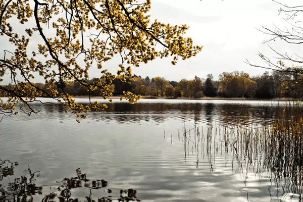Lakes: Day At The Lake by Assaf Frank