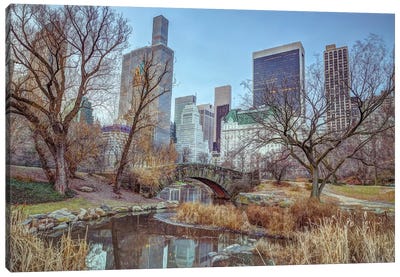 New York XXI Canvas Art Print - Central Park