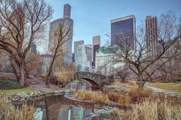 Central Park: New York XXI by Assaf Frank