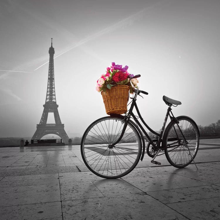 Paris VII by Assaf Frank wall art