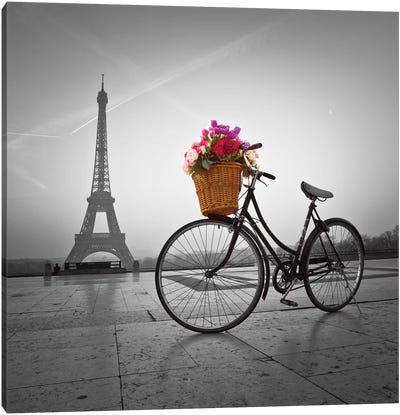 Paris VII Canvas Art Print - Bicycle Art