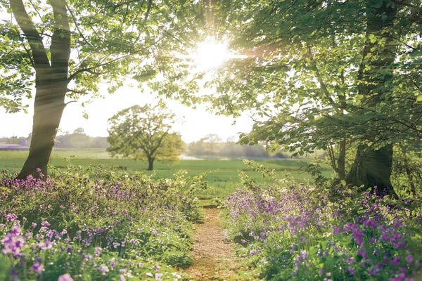 Gardens & Floral Landscapes: Something Beautiful by Assaf Frank