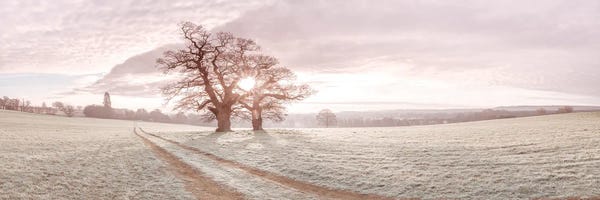 Photography: Soft Sunrise by Assaf Frank