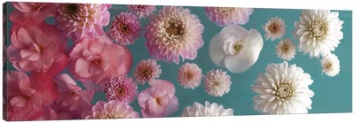 Garden Splash Canvas Art Print - Chrysanthemum Art