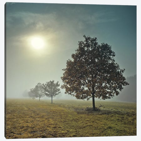 It's A New Day Canvas Print #AFR25} by Assaf Frank Canvas Art