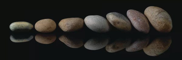 Still Life Photography: Lean On Me by Assaf Frank